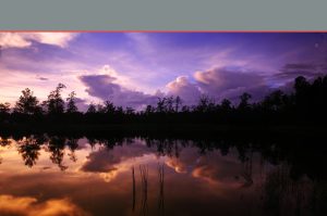 Apartments in Bluffton overlooking a serene body of water surrounded by trees and clouds in the sky.