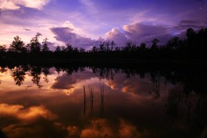 Clouds reflected in a lake at sunset near Apartments in Bluffton.