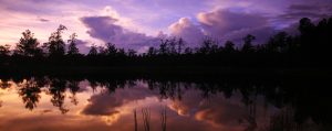 A body of water with trees and clouds in the sky.