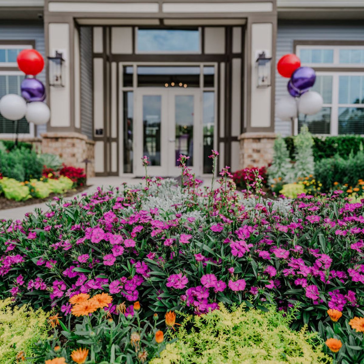 Apartments in Bluffton A building entrance with glass doors is framed by colorful flowerbeds and decorated with red, purple, and white balloons.