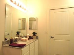 1 Bedroom Apartments in Bluffton, SC for rent - Model Bathroom with Large Mirror and Vanity     