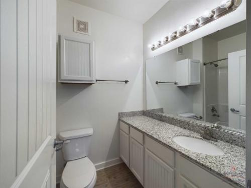 Apartments in Bluffton A bathroom with a granite countertop, a sink, a large mirror, a toilet, and a wall-mounted cabinet. The shower area with a curtain is partially visible in the background.