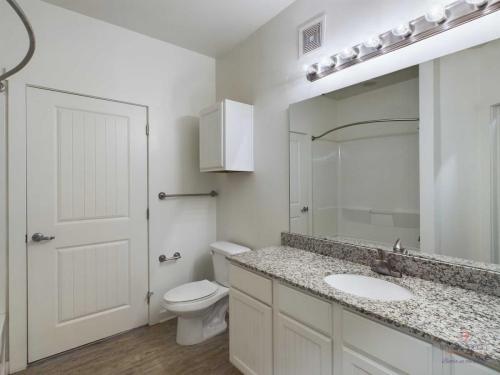 Apartments in Bluffton A modern bathroom with a granite countertop sink, a toilet, and a bathtub with a shower curtain. There is a wall-mounted cabinet above the toilet and a large mirror with lights above the sink.