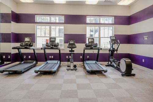 Apartments in Bluffton A modern gym with striped purple and white walls featuring three treadmills, two exercise bikes, and an elliptical machine, all facing windows that let in natural light.