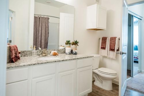 Apartments in Bluffton Modern bathroom with a granite countertop, dual sinks, and white cabinetry. A toilet is next to the counter, with pink and white towels hanging on the wall and potted plants as decor.